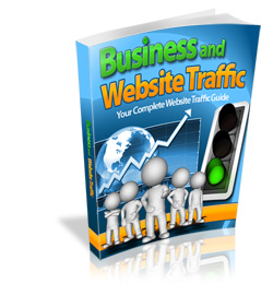 Webdropservices -Business and Website Traffic - ebook